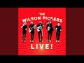 Jolene (Live at Bluesfest, Byron Bay, 2017)