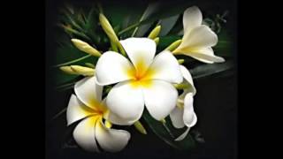 Jazmín - L. A. Spinetta  (por Silvia Salomone)