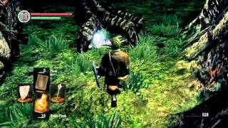 Dark Souls -  Astora's Straight Sword & Dragon Crest Shield Quick Guide