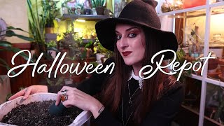 Reacting To Your Halloween Costumes | Repot With Me