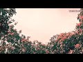 Wo Din Bachpan Ke Song Status Video