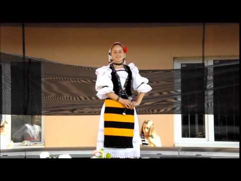 INFOAPAHIDA RO   FIII SATULUI DEZMIR 2014