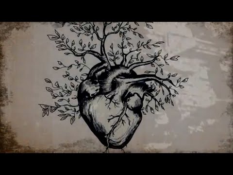 romaN - Cat inima rade