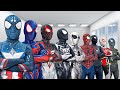 Spider Man Into The Spider Verse 2025 Deadpool 3 Marvel Studios Wolverine Superman Venom 3