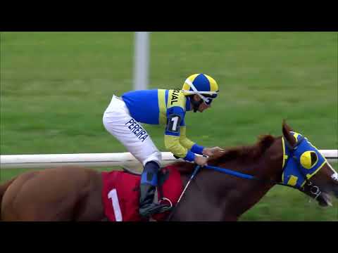 221113 c05 EL PATOVA