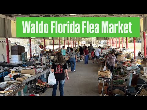 ANTIQUING AT WALDO FLORIDA FLEA MARKET SHOPPING FOR ANTIQUES AND VINTAGE JUNK PICK WITH ME VEDIO