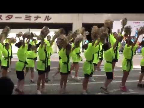 [MVQ賞]市立柏高校の演奏で柏おどりを小学生が踊りました2016-2　柏第一小学校