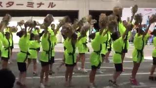 [MVQ賞]市立柏高校の演奏で柏おどりを小学生が踊りました2016-2　柏第一小学校