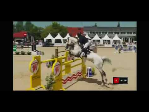 OBC-Carl-O (CELLESTIAL x LANDGOLD) - Video 8 video thumbnail