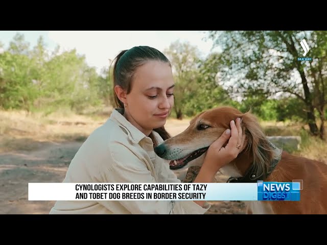 Кинологи исследуют возможности породы тазы и тобет для охраны границы