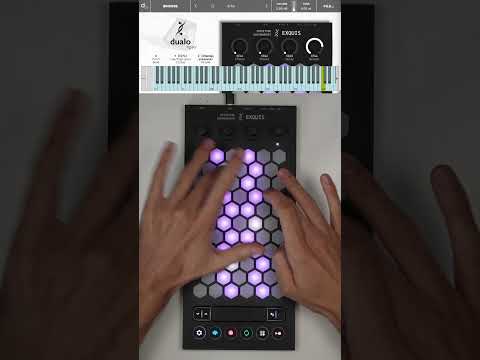 Intuitive Instruments Exquis 61-Key MPE MIDI and CV Controller 2024 - Present - Black image 5