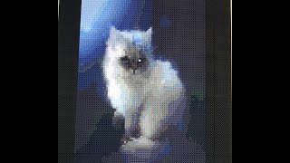 cross stitch world white kitty