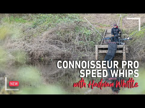 Daiwa: CONNOISSEUR PRO SPEED WHIPS