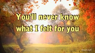 Strange Foreign Beauty by Michael Learns To Rock (Lyrics Video)