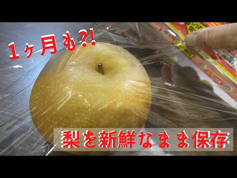 梨の保存方法:これが最も長持ちする方法です 植物