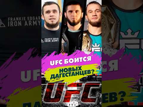 UFC перестаёт подписывать дагестанцев? Боятся или устали?