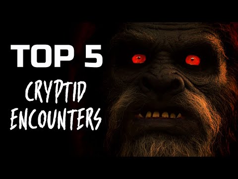 , title : 'TOP 5 Cryptid Encounters'