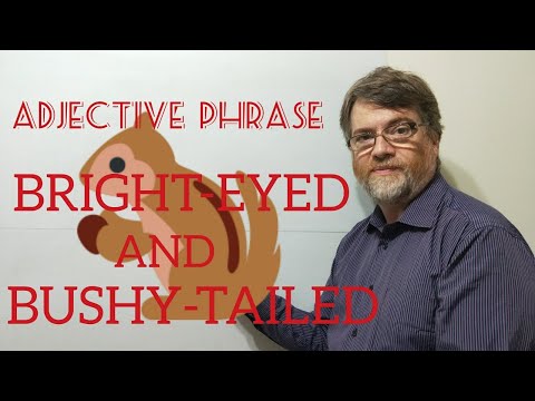 English Tutor Nick P Adjective Phrase  (46) Bright-Eyed and Bushy-Tailed