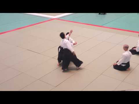 Shigeru Sugawara 55 asis Japonijos Aikido festivalis
