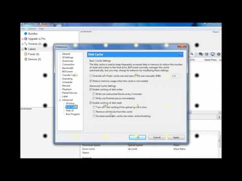 How To SpeedUP bitTorrent 7.9.6 or any [2]