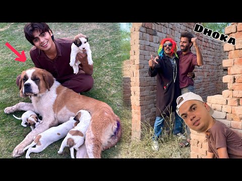 Qasai Ko Dhoka Da Ka Heer Ly Aiy 😱 Heer is Back 😍