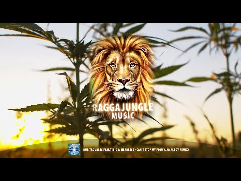 Dub Troubles feat.Tibio & Headless - Can't Stop My Flow (Jamalboy Remix)