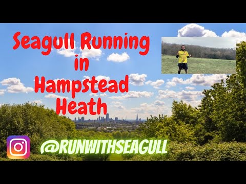Running in London : Hampstead Heath, one of the most amazing parks in UK