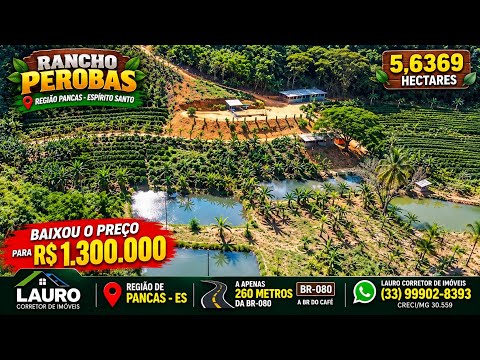 R$ 800 MIL DE ENTRADA! Rancho Perobas com Safra de Café 2027 | Espírito Santo