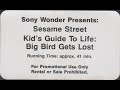 Sesame Street Kids Guide To Life Big Bird Gets Lost Promotional Copy Version 1