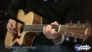 Video thumbnail for Taylor 414ce - How does it sound ? by Audiofanzine in English