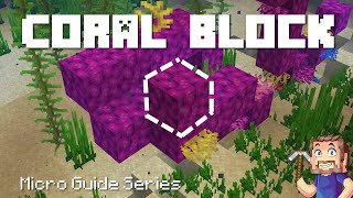 Coral Block - Minecraft Micro Guide