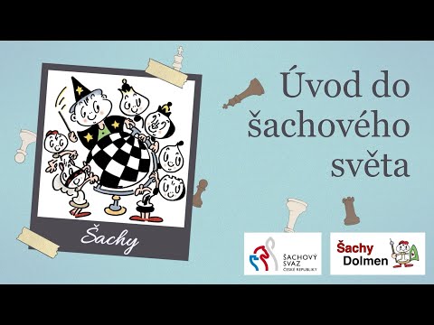 Šachy | Šachovnice a figurky - 1. díl