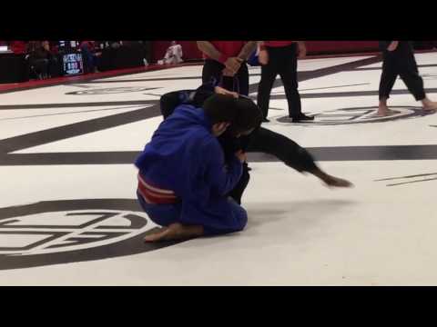 Qtr finals Purple Adult heavy JJWL