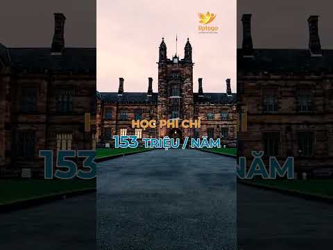 Video quảng cáo
