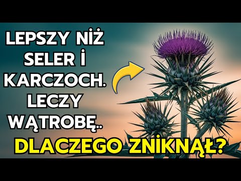 Better than Celery and Artichoke. Heals the Liver. Why Has It Been Forgotten?