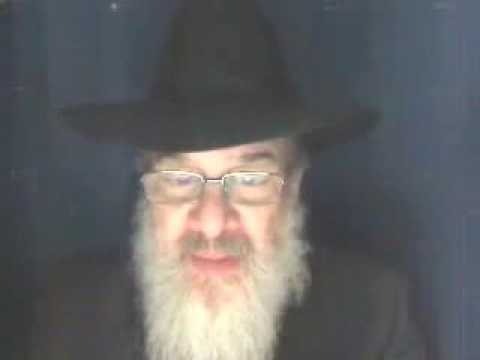 16 Beshalach - Rabbi Herschel Finman (Exodus 13:17 - 17:16 Shemos)