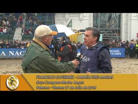 27-07-18 Nota Francisco Gutierrez - Jura Macho Angus - Palermo