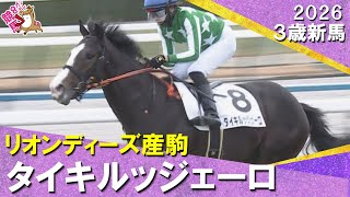 単勝170.6倍13番人気のタイキルッジェーロがデビュー勝ち！斎藤新騎手「センスで勝ち切ってくれました」2026年1月4日(日)３歳新馬　京都芝1800m　実況：川島壮雄【カンテレ公式】
