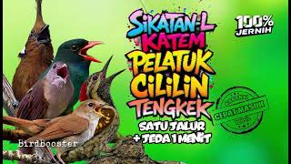 Download lagu Masteran Burung Nembak Mbeset Tajam Jeda Terapi Air mp3 Download lagu Masteran Burung Nembak Mbeset Tajam Jeda Terapi Air mp3