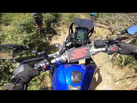 Fallen Tree Road Block - TET Sicily