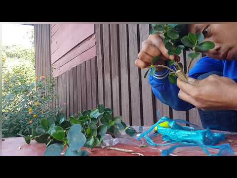 2 มกราคม 2021