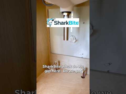 SharkBite Max Fittings