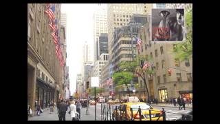 Jazz Trumpet / 松島啓之 - Without A Song ( Vincent Youmans )