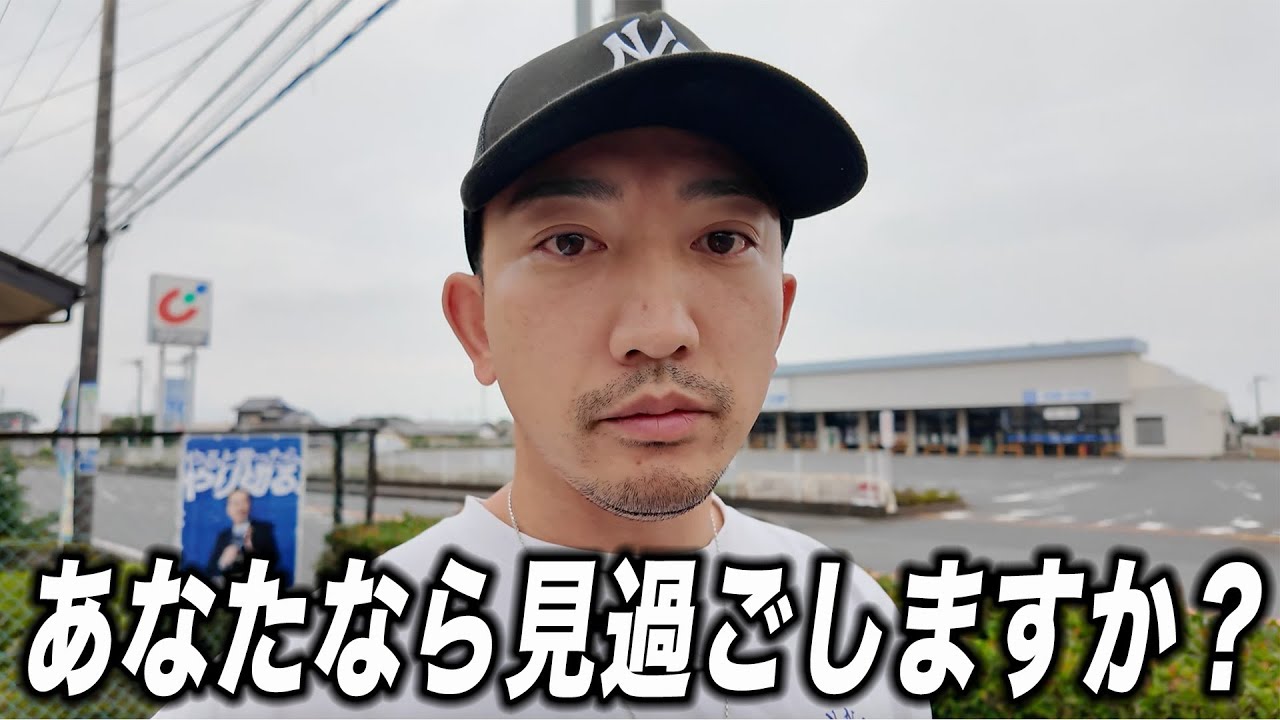 【保護猫の叫び】小さな命を救うためにできること