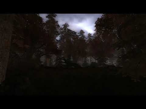 S.T.A.L.K.E.R. CS Atmosphere - Red Forest