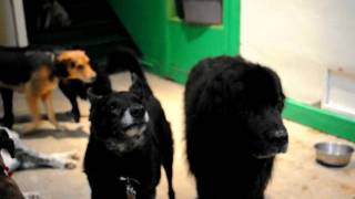 George + Jude have a discussion (Statler &amp; Waldorf?!)