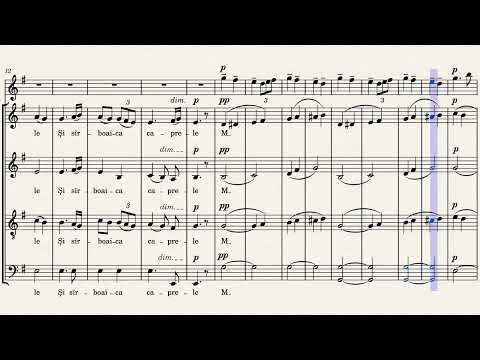 Eusebie Mandicevschi - Sârbu și sârboaica