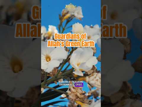 Guardians of God's Green Earth #earth #islamandscience #environment #shorts