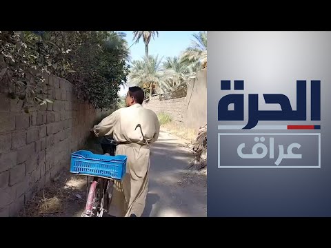 شاهد بالفيديو.. أزمة شح المياه وقطع دول الجوار روافد الأنهار تفتك بمزارع ديالى