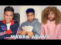 BEST MARRK ADAMS Shorts 9 Funny Mark Adams TikToks
